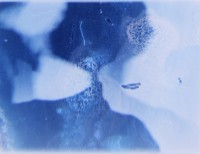 http://portal.benivuula.com/files/gimgs/th-137_neverdrive web-14.jpg